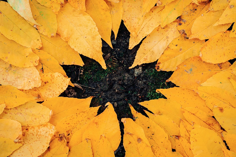 Embrace the Season: Creative Fall Print Projects for Your Business